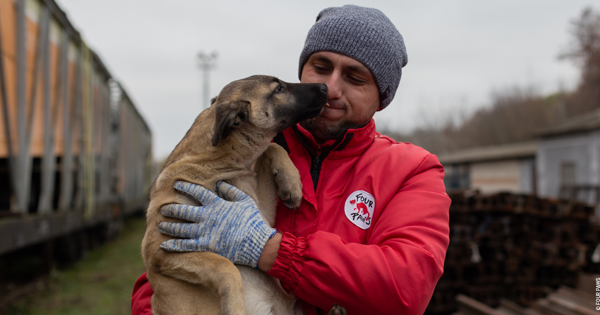 Support our work in Ukraine | FOUR PAWS | Donate now